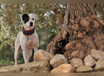 Möchtest du mit Bobs die Welt entdecken?