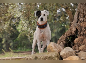 Möchtest du mit Bobs die Welt entdecken?