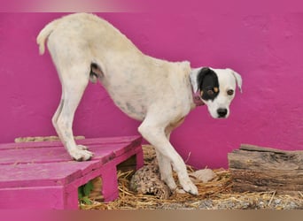 Möchtest du mit Bobs die Welt entdecken?