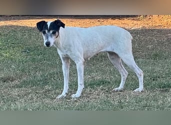 Charlene ist eine ruhige, freundliche Bodeguera