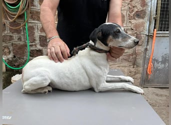 Charlene ist eine ruhige, freundliche Bodeguera