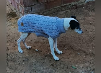 Charlene ist eine ruhige, freundliche Bodeguera