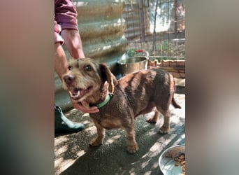 Reka LM - Sonnenscheinchen sucht Partner in Crime