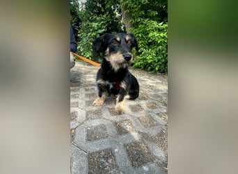 Dolina, geboren 01.10.2025, 32cm sucht ihr Zuhause