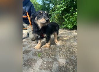 Dolina, geboren 01.10.2025, 32cm sucht ihr Zuhause