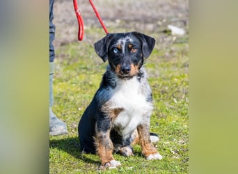 Jakob SI - verträglich, lieb