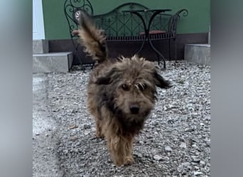 Pepco möchte nur geliebt werden