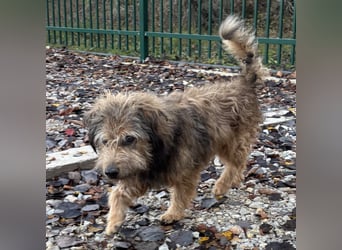 Pepco möchte nur geliebt werden