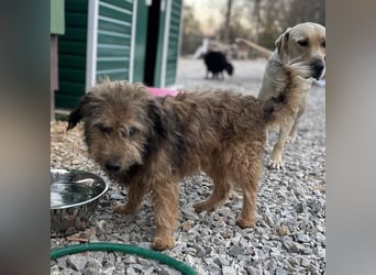 Pepco möchte nur geliebt werden