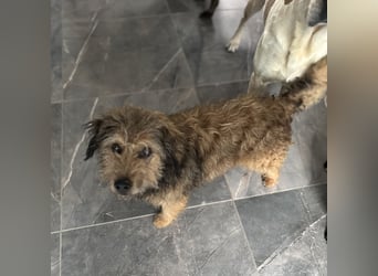 Pepco möchte nur geliebt werden