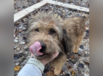 Pepco möchte nur geliebt werden