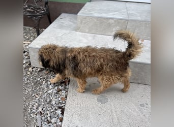 Pepco möchte nur geliebt werden