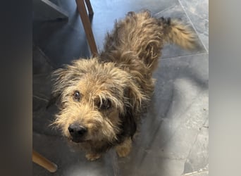 Pepco möchte nur geliebt werden