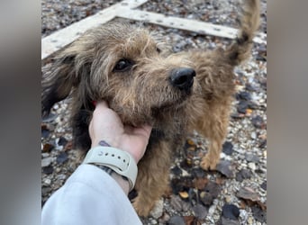 Pepco möchte nur geliebt werden