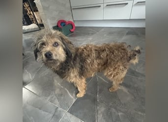 Pepco möchte nur geliebt werden