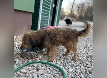 Pepco möchte nur geliebt werden