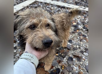 Pepco möchte nur geliebt werden