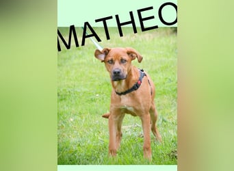 Matheo - will die Welt entdecken