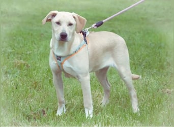 Chris - freundlich und neugierig