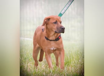 Matheo - will die Welt entdecken