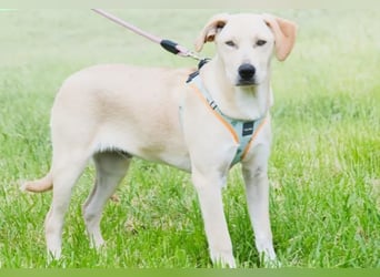 Chris - freundlich und neugierig