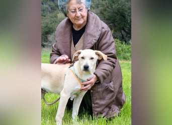 Chris - freundlich und neugierig