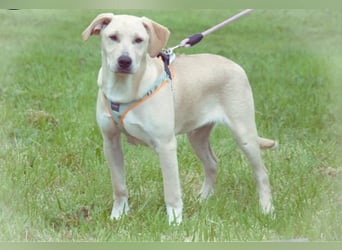 Chris - freundlich und neugierig