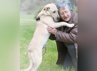 Chris - freundlich und neugierig