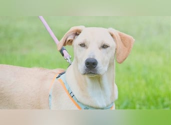 Chris - freundlich und neugierig