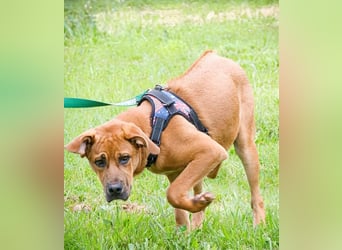 Matheo - will die Welt entdecken