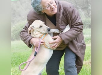 Chris - freundlich und neugierig
