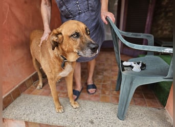 Billy - ein Leben auf der Terrasse