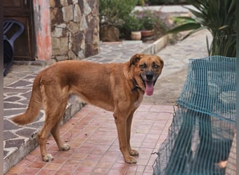 Billy - ein Leben auf der Terrasse