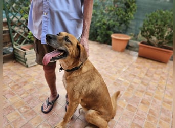 Billy - ein Leben auf der Terrasse