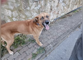 Billy - ein Leben auf der Terrasse