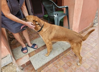 Billy - ein Leben auf der Terrasse