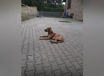 Juni sucht ihren sicheren Hafen