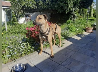 Juni sucht ihren sicheren Hafen