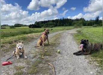 Juni sucht ihren sicheren Hafen