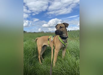 Juni sucht ihren sicheren Hafen