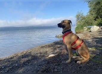 Juni sucht ihren sicheren Hafen