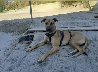 Juni sucht ihren sicheren Hafen
