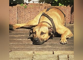 Juni sucht ihren sicheren Hafen