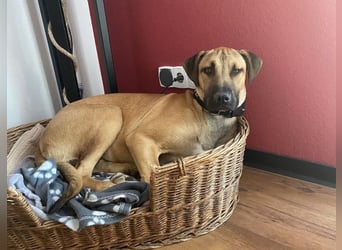 Juni sucht ihren sicheren Hafen