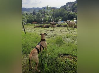 Juni sucht ihren sicheren Hafen