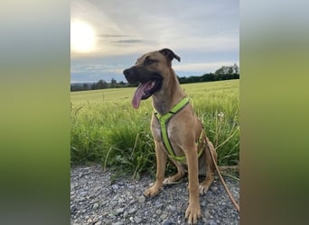 Juni sucht ihren sicheren Hafen