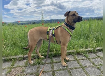 Juni sucht ihren sicheren Hafen