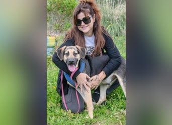 Pluto – ein aufgewecktes Kerlchen