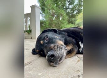 BODIN sucht Alterswohnsitz