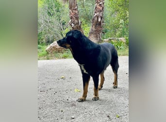 BODIN sucht Alterswohnsitz